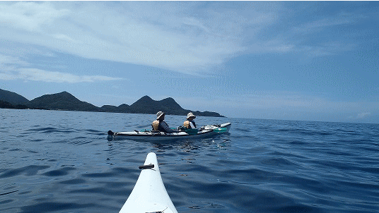 google-site-verification: googlee81d273e50dde790.html